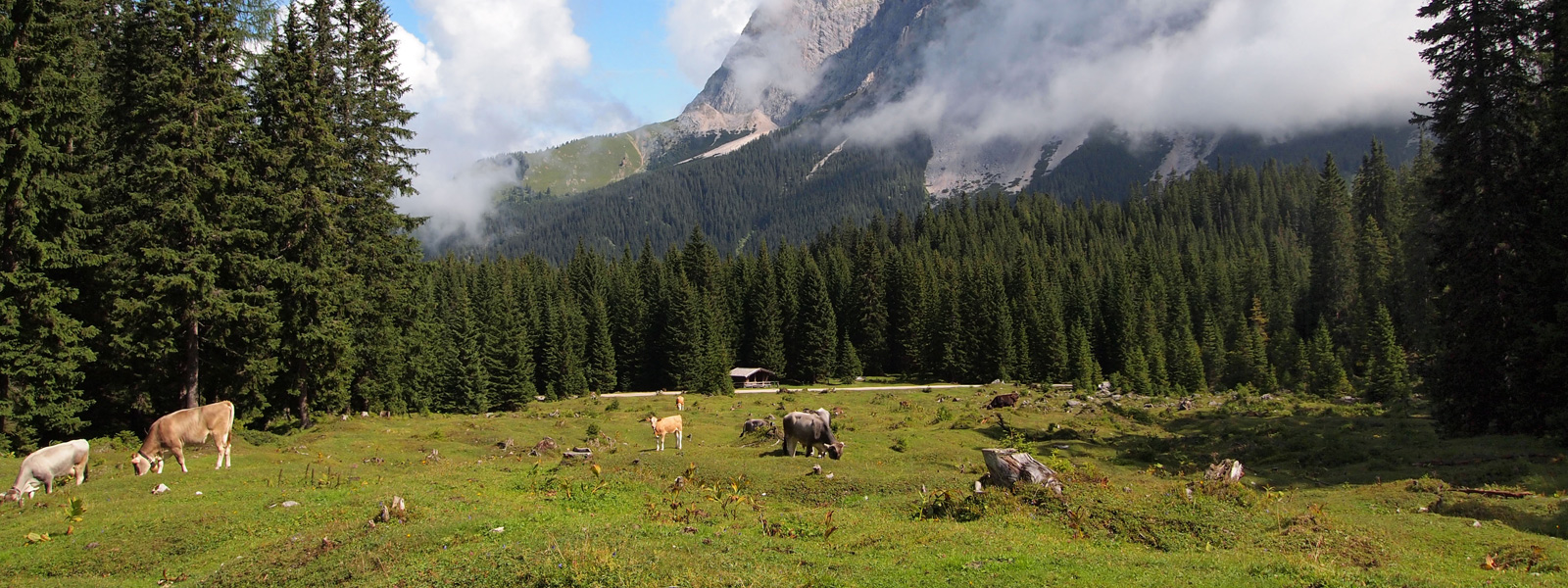 Ehrwald Natur Pur